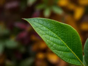 Sposoby wiązania chusty na szyi – stylizacje i techniki, które warto znać